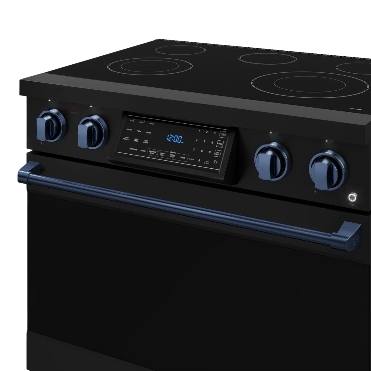 Thor Kitchen Black Stainless Steel Freestanding Professional Electric Range|Gordon Ramsay Series (6 cu.ft) - RSE36B-BLU